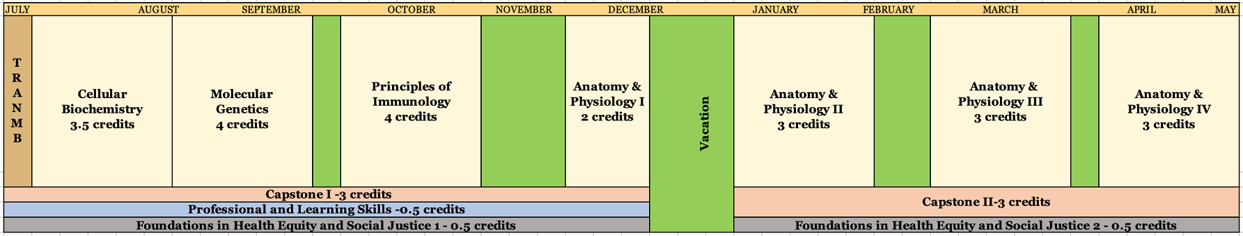 MBS Curriculum Calendar - Large
